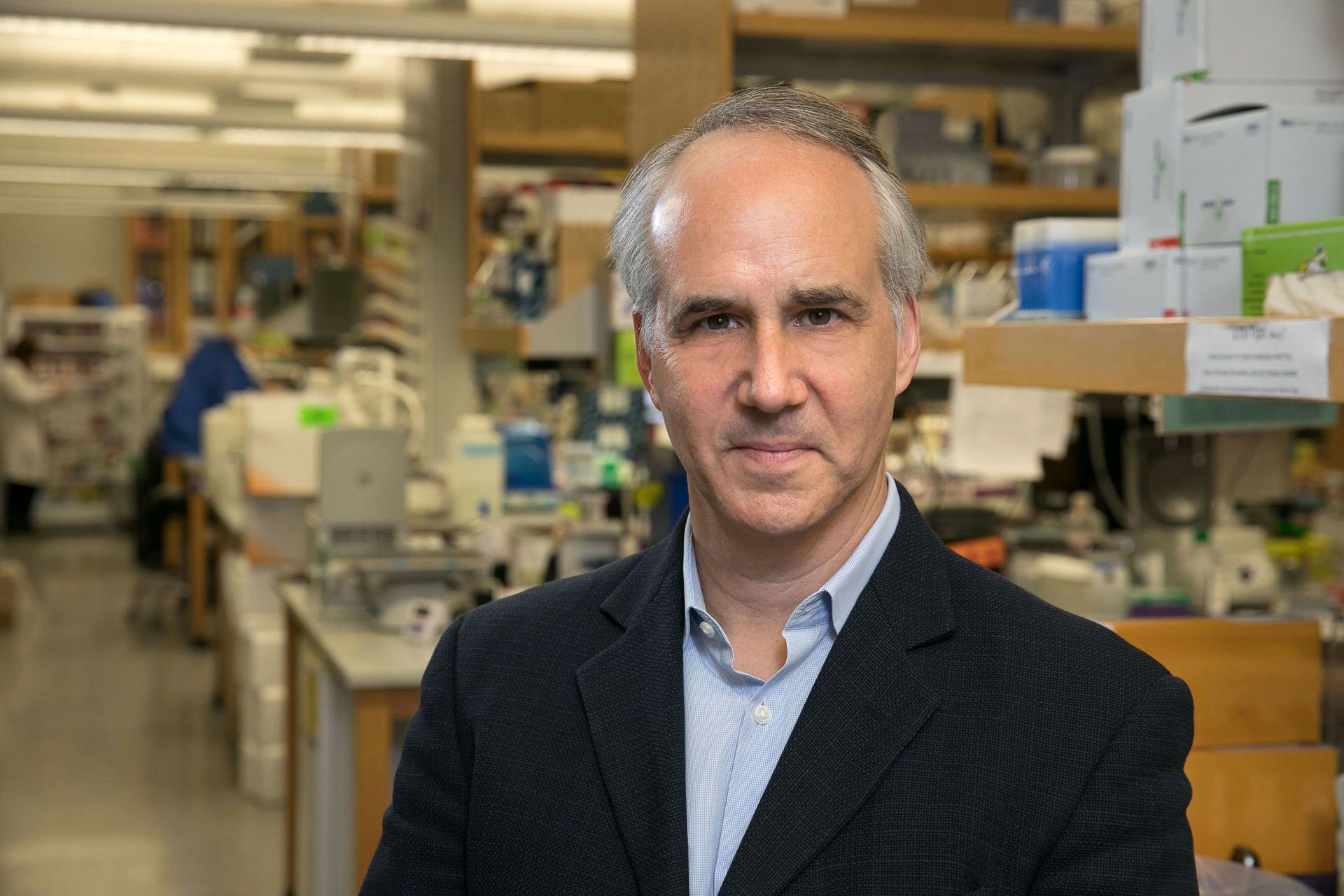 Study connects genetic risk for autism to changes observed in the brain ...